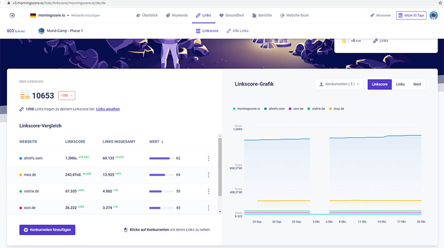 Linkscore-Analyse