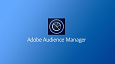 Adobe Marketing Cloud