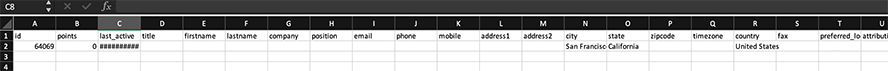 Mautic Kontakte exportieren CSV-Datei