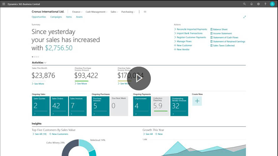 Microsoft Dynamics NAV Screenshot Webseite