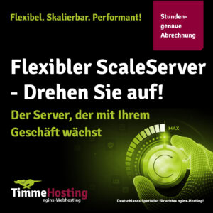 TimmeHosting_ScaleServer
