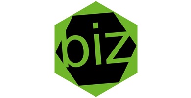 BIZ-Digital-Marketing