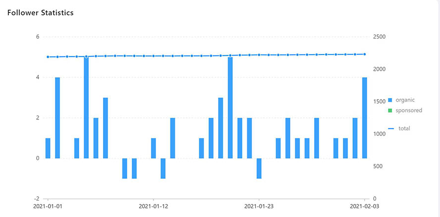 Company Page_Follower Statistik