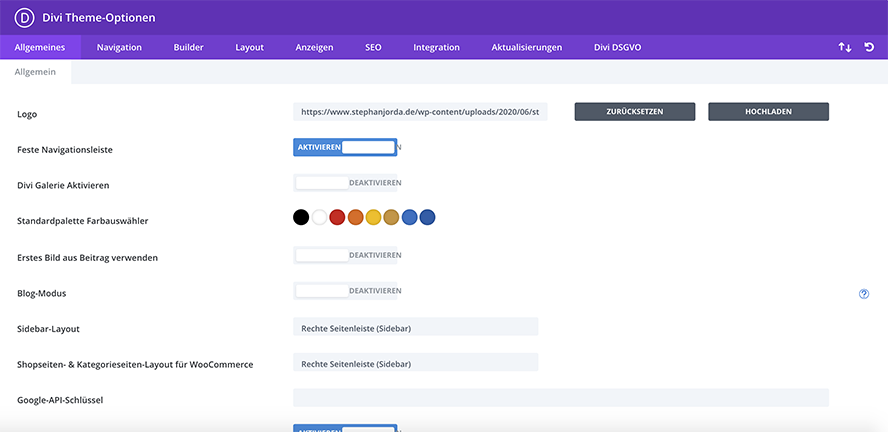Divi-Theme-Optionen