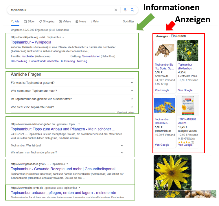 serp-analyse-informational-keyword-topinambur