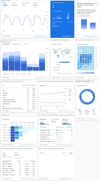 So sieht der Startseiten-Bericht von Google Analytics aus