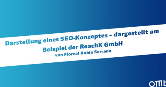 Darstellung eines SEO-Konzeptes – dargestellt am Beispiel der ReachX GmbH