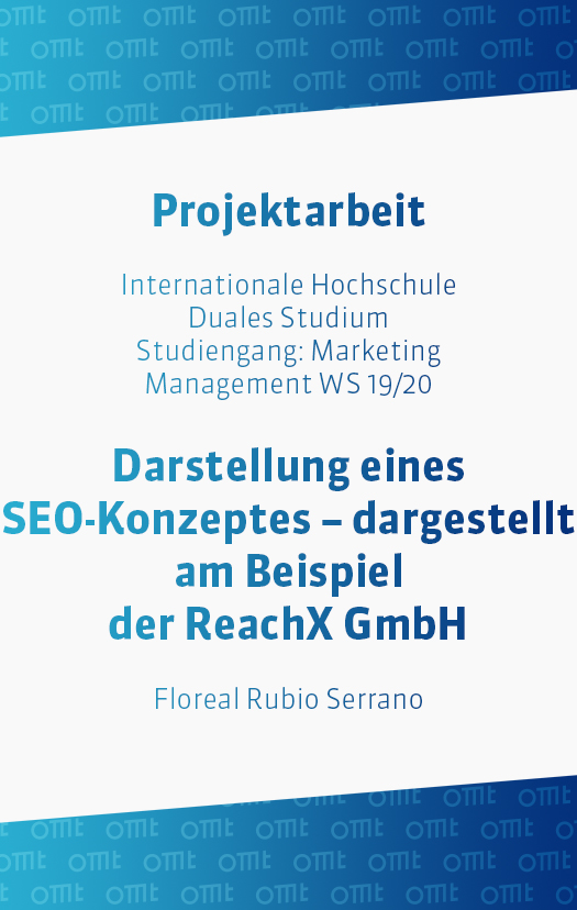 Darstellung eines SEO-Konzeptes – dargestellt am Beispiel der ReachX GmbH