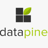 Datapine