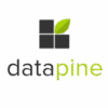Datapine