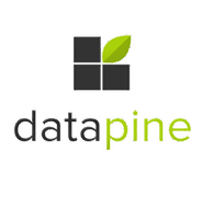 Datapine 