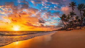 Strand-Sonnenaufgang-Palmen