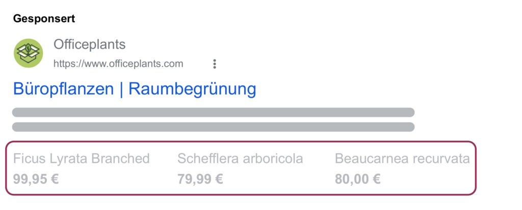 Grafik 6 Preis