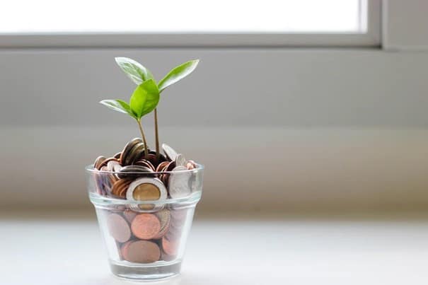 glas voller münzen auf dem eine kleine pflanze wächst