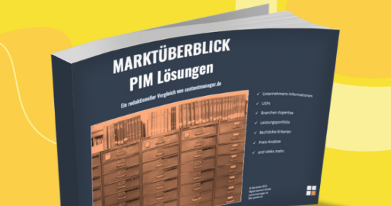 PIM-Systeme im Vergleich