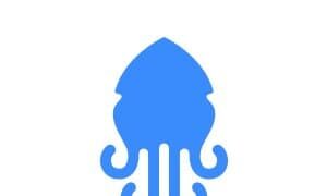 Squidex