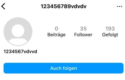 Beispiel Fake Profil Instagram