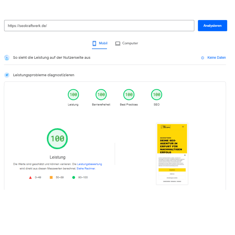 Das Bild zeigt einen Auszug aus dem Pagespeed Insights von Google für die Domain seokraftwerk.de