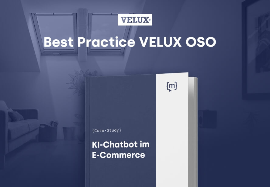 Case-Study-VELUX OSO