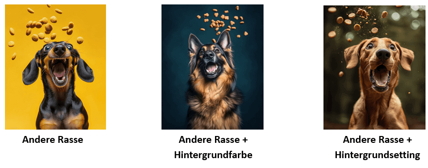 Bild-KI-Variationen.
