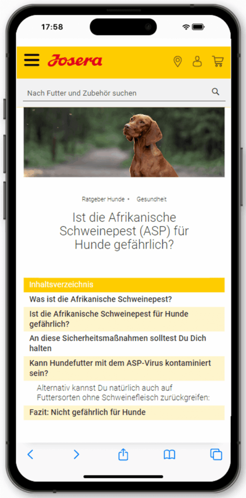 Text-KI für Ratgeber.