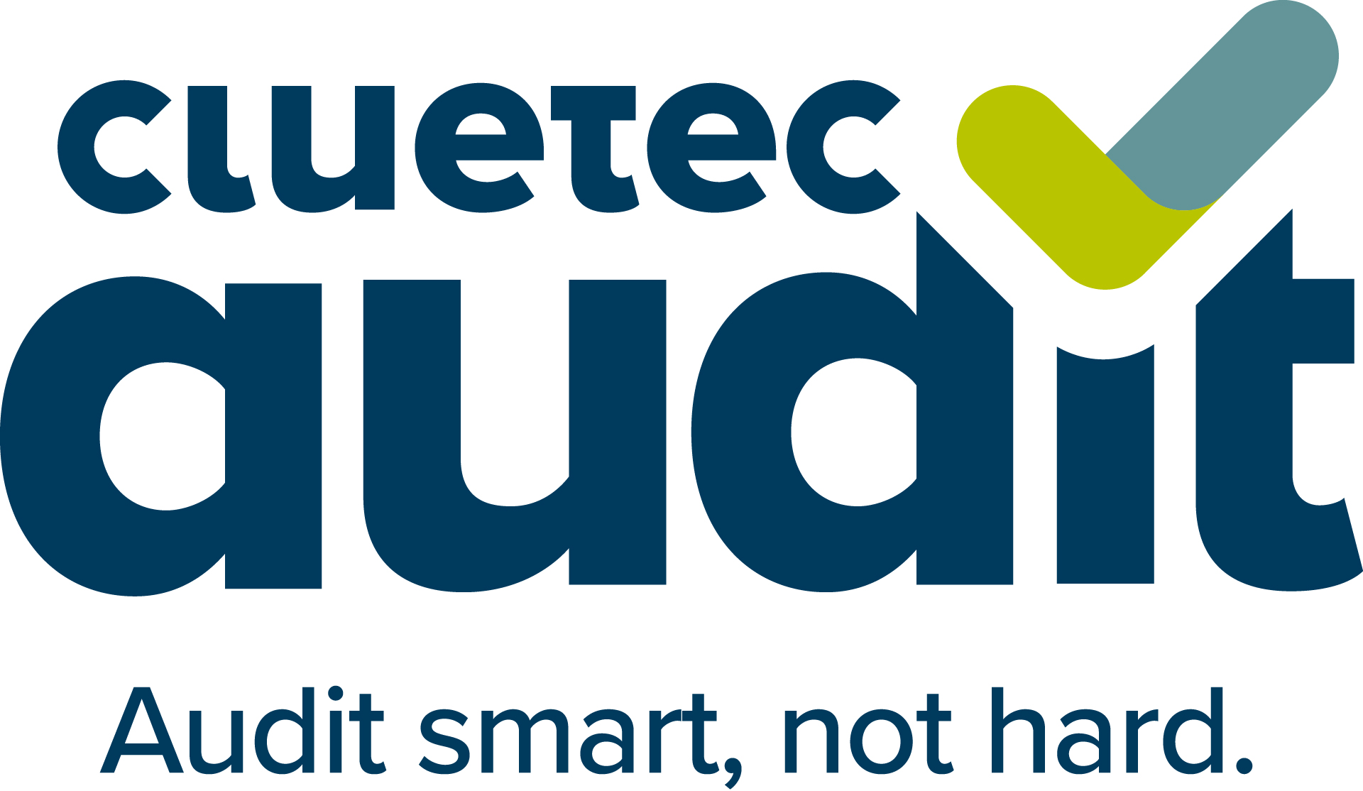 cluetec Audit