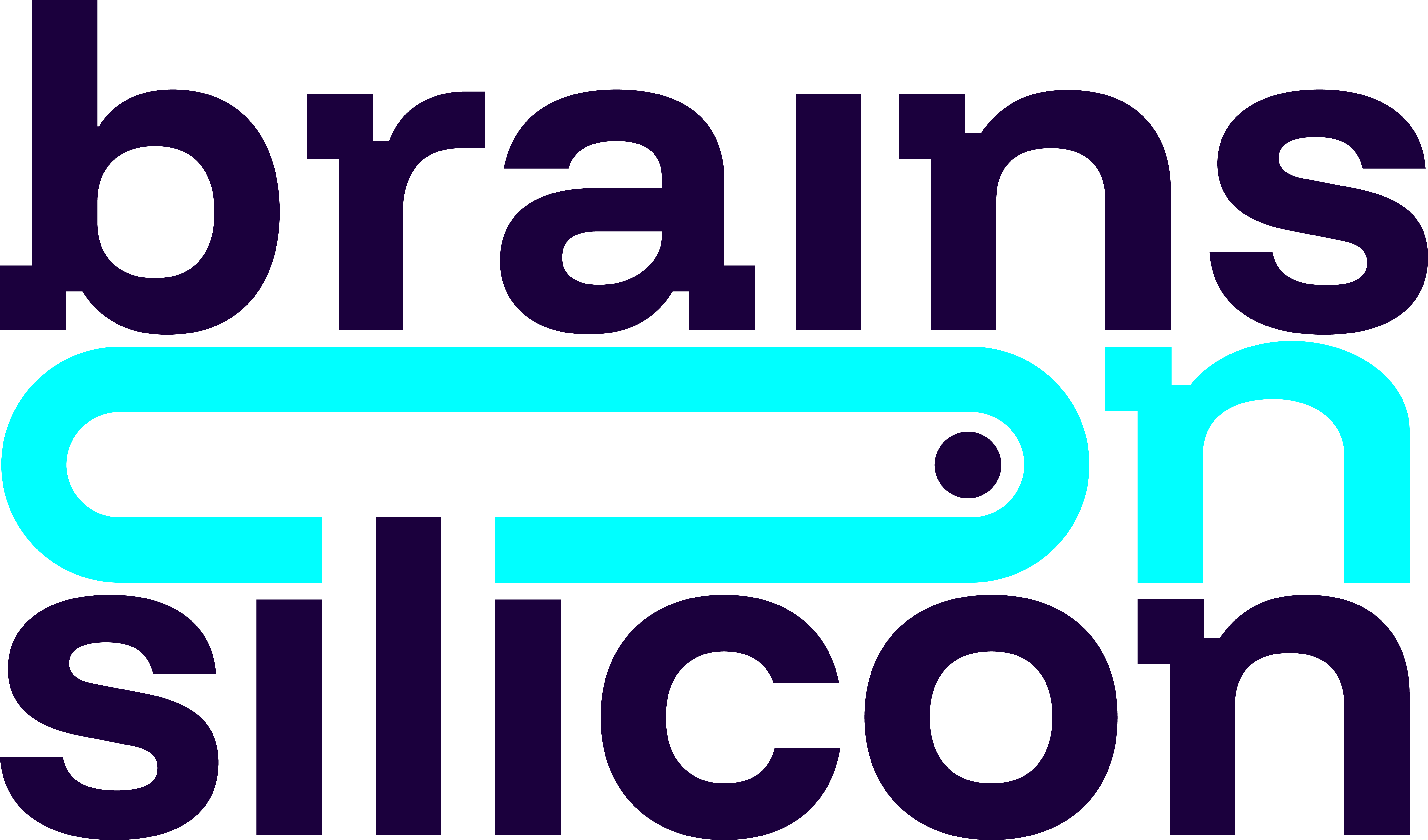 Brains on Silicon