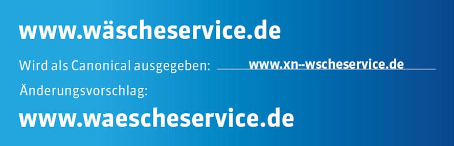 3Wascheservice-Grafik-Themenwelt-Webdesign3