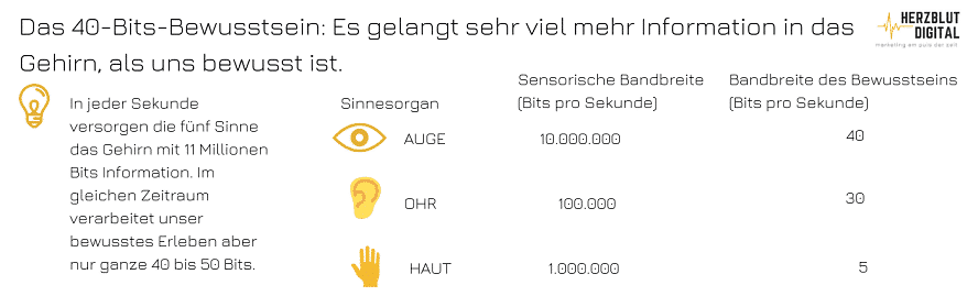 40-Bits-Bewusstsein-omt