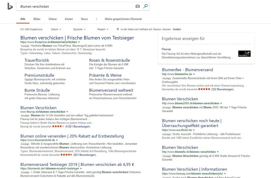 Screenshot Beispielsuche Search-Anzeigen Bing