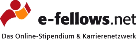 e-fellows.net GmbH & Co. KG